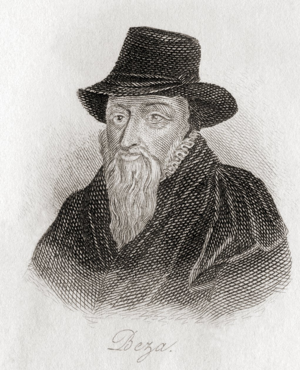 Theodore Beza, 1519-1605 by Unknown