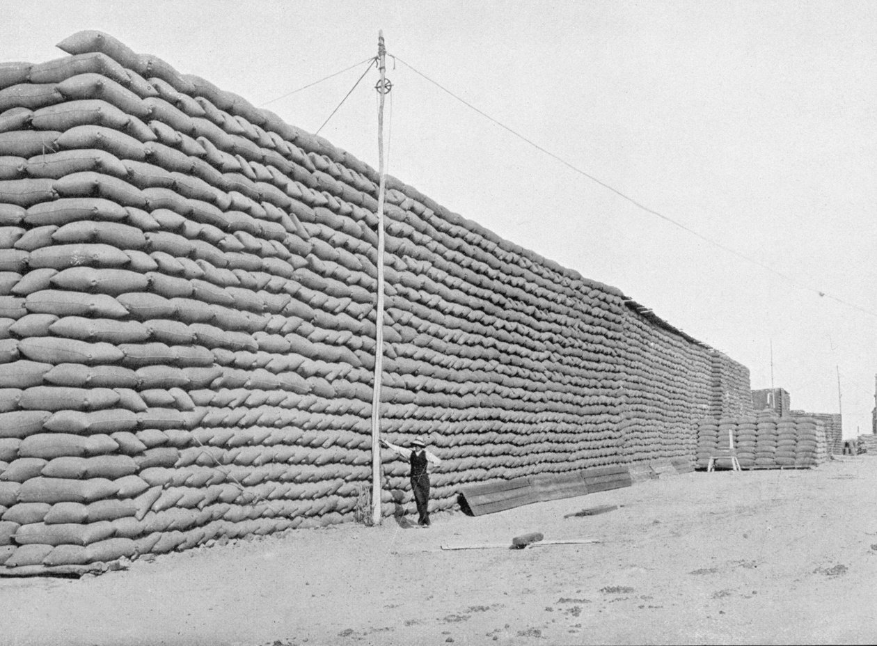 125,000 Bags of Wheat Awaiting Shipment, South Australia, c.1900, from 