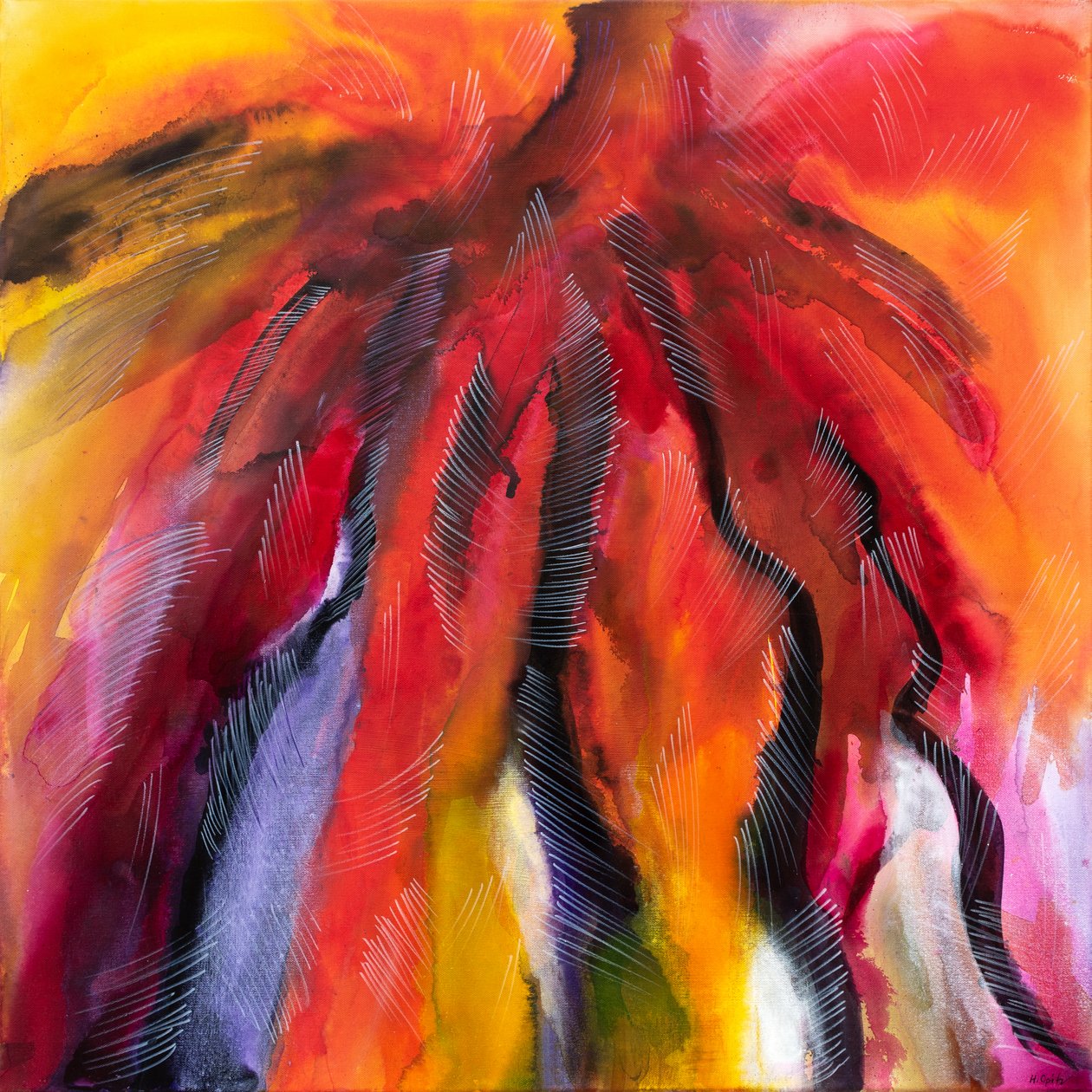 Fire Jellyfish by H.Opitz