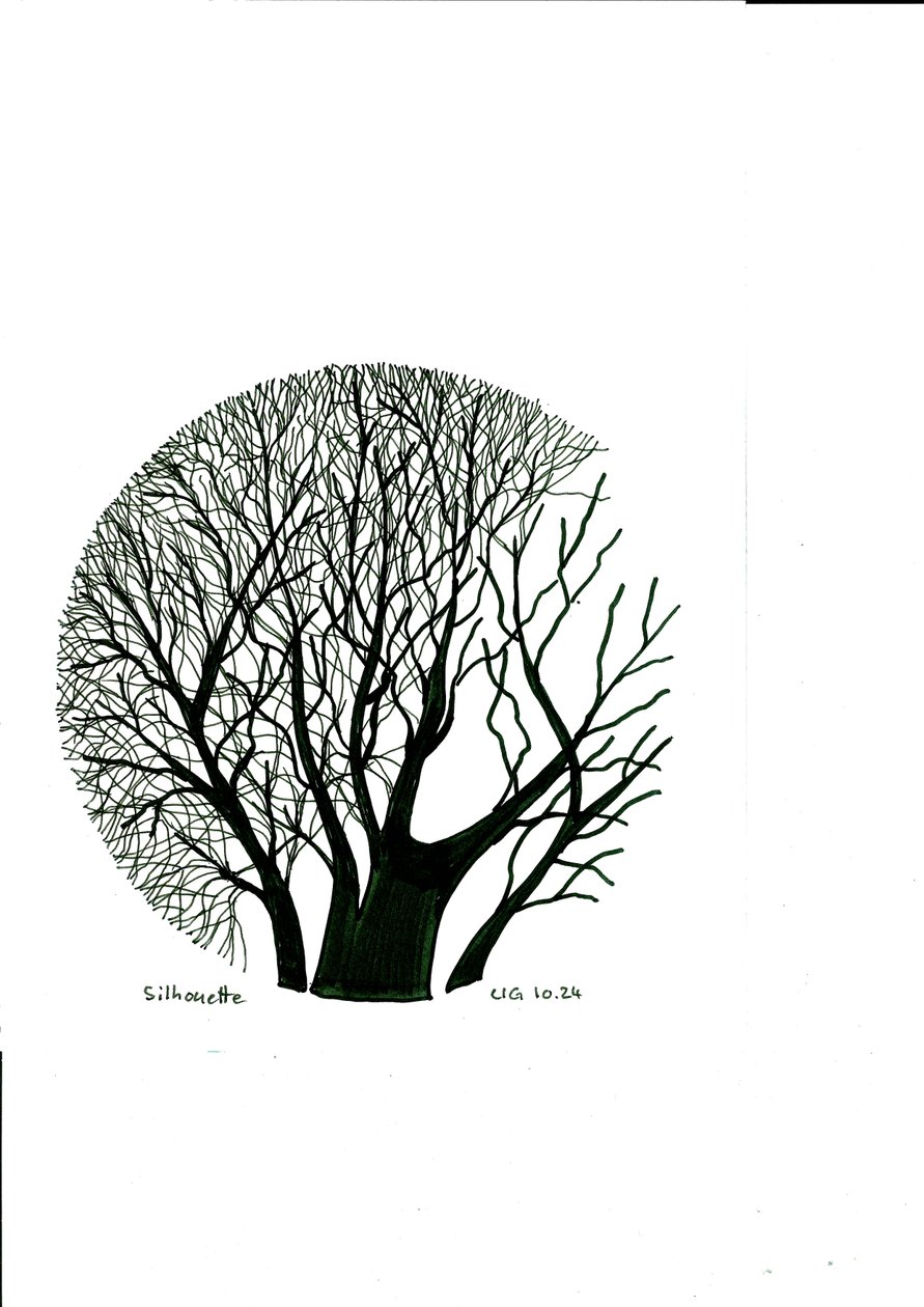 Silhouette by Urs Grünenfelder
