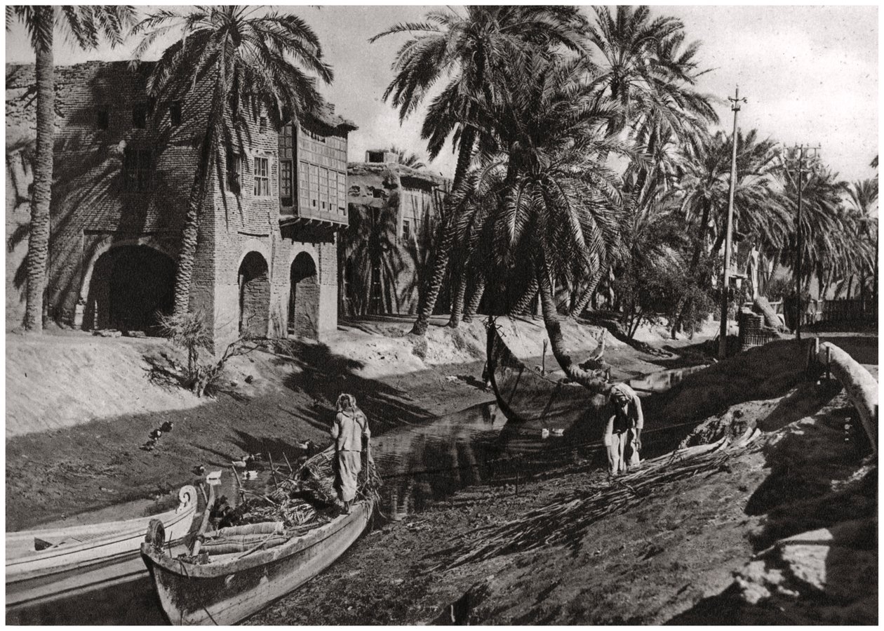 Serai Creek, Basra, Iraq by A. Kerim