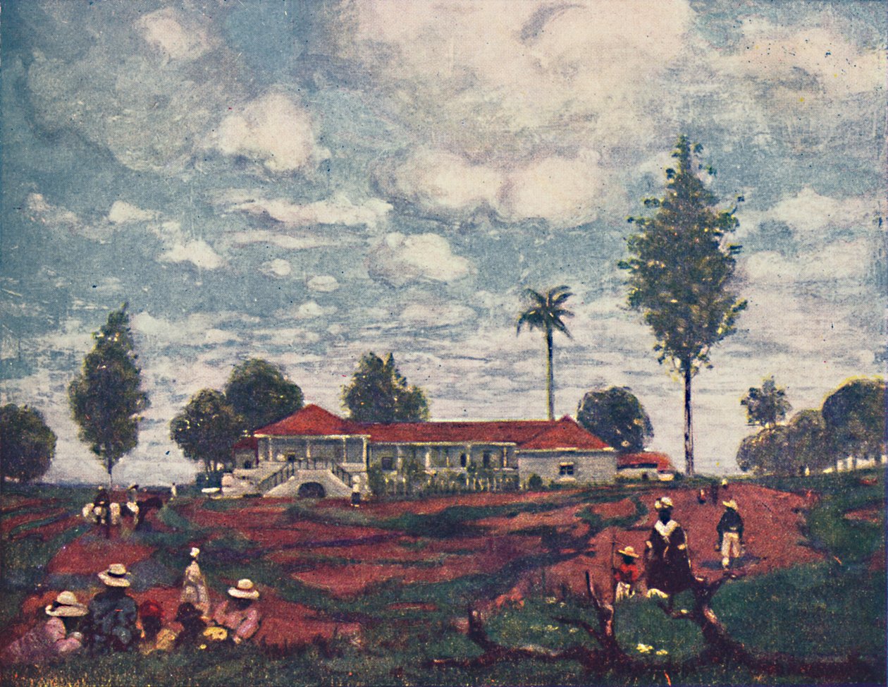 A Coffee Fazenda by A. S. Forrest