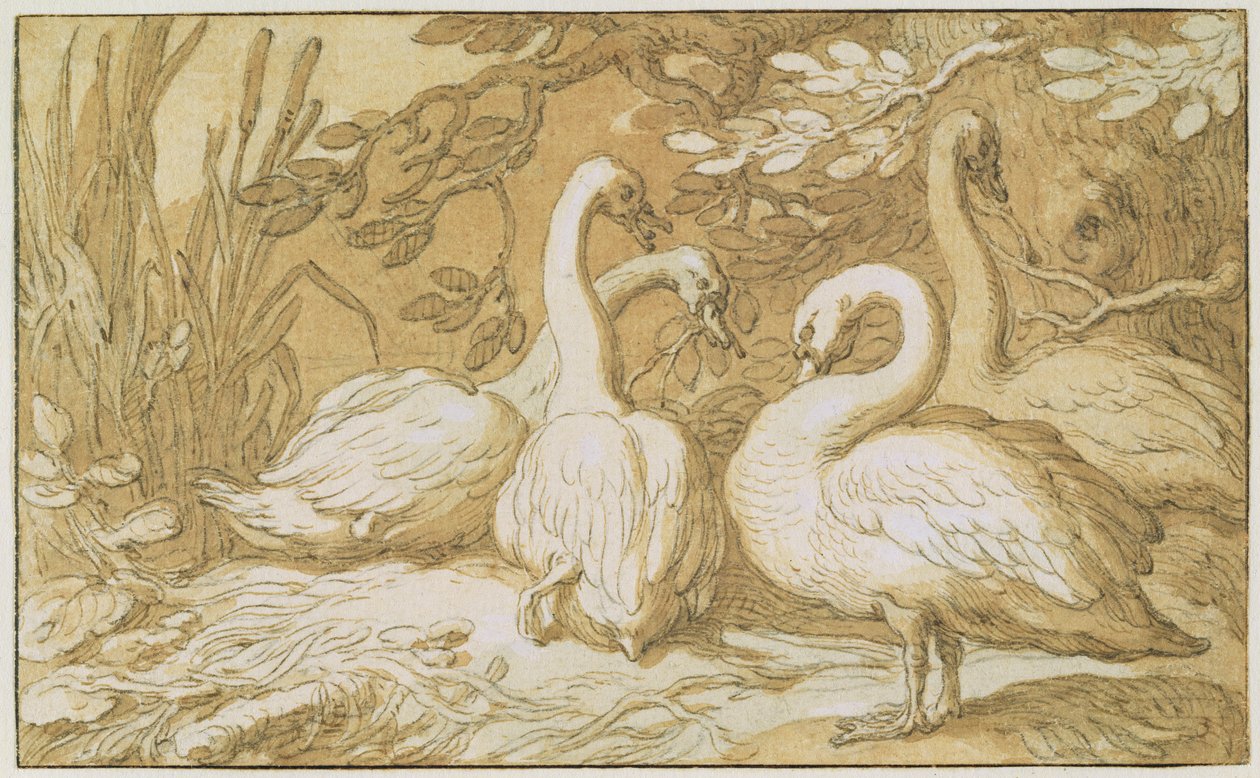 A Group of Swans by Abraham Bloemaert