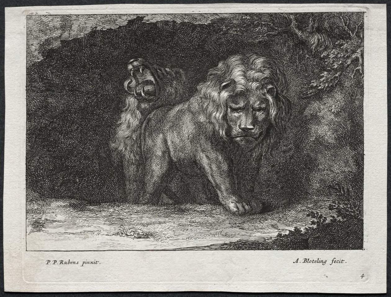 Various Lions by Abraham Blooteling