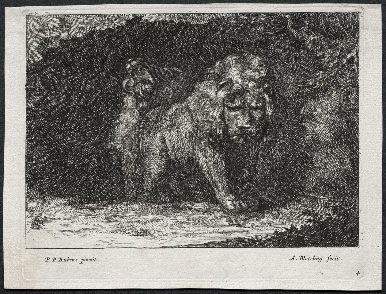Various Lions by Abraham Blooteling