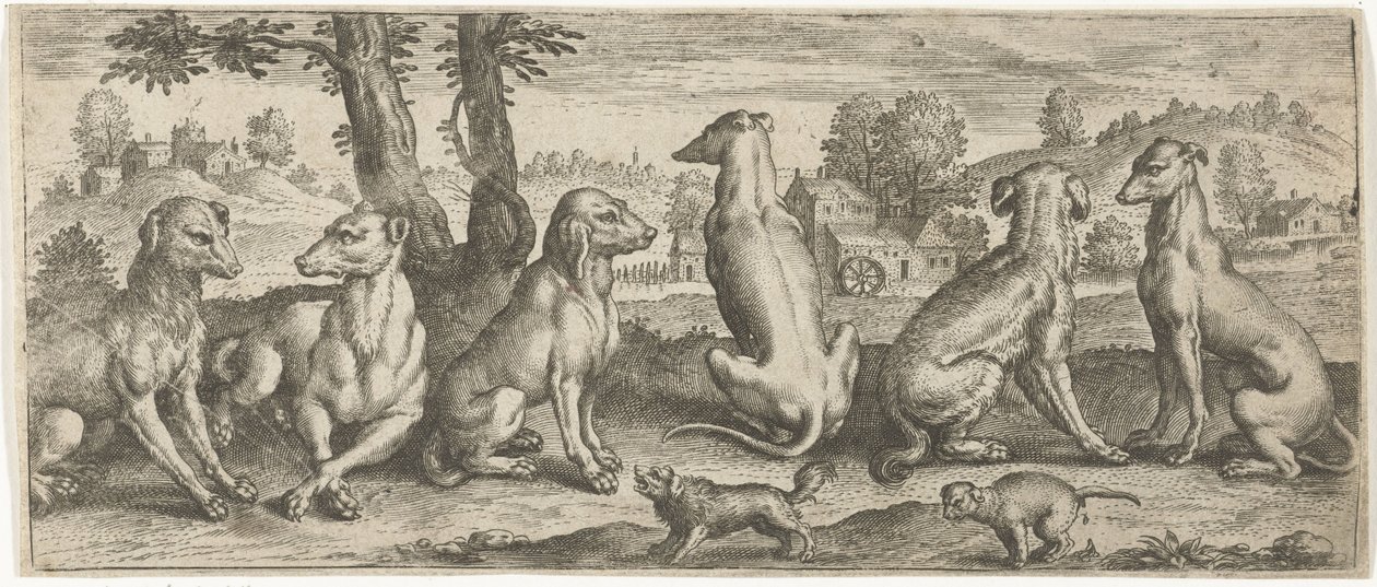 Dogs by Abraham de Bruyn (possibly)