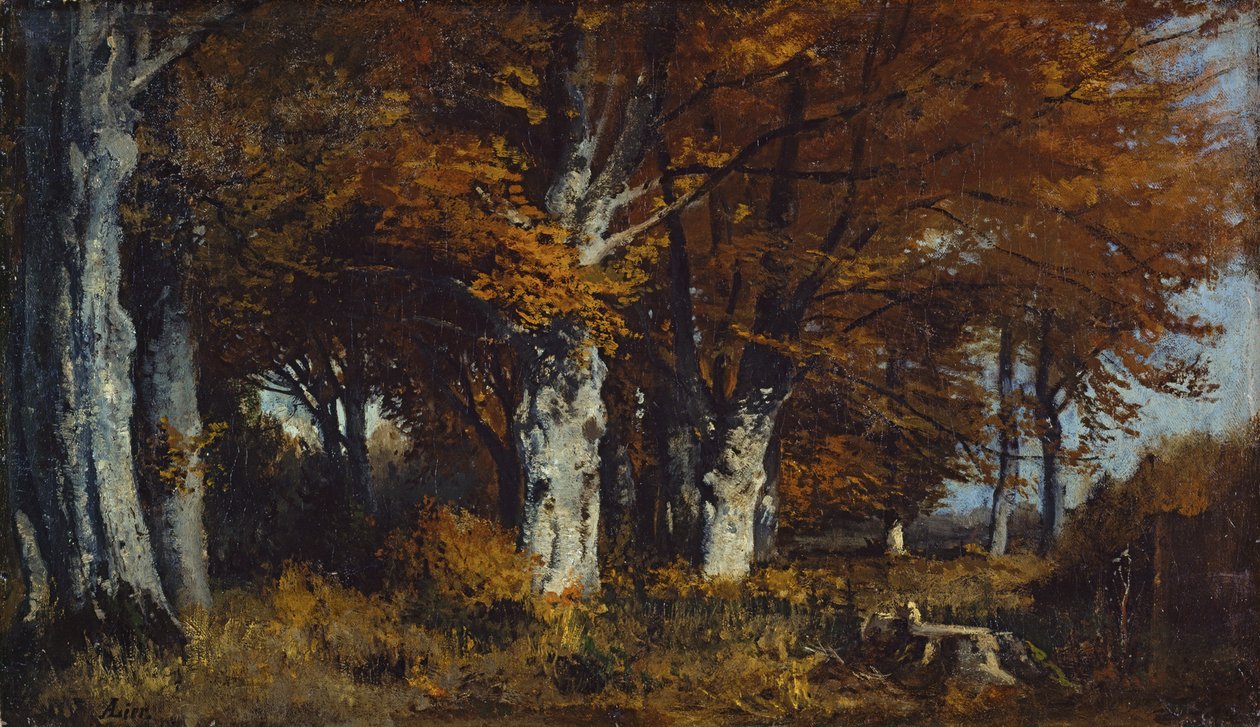 Beech Forest in Autumn by Adolf Heinrich Lier