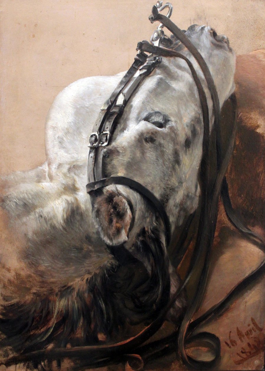 Horse Study by Adolph Menzel