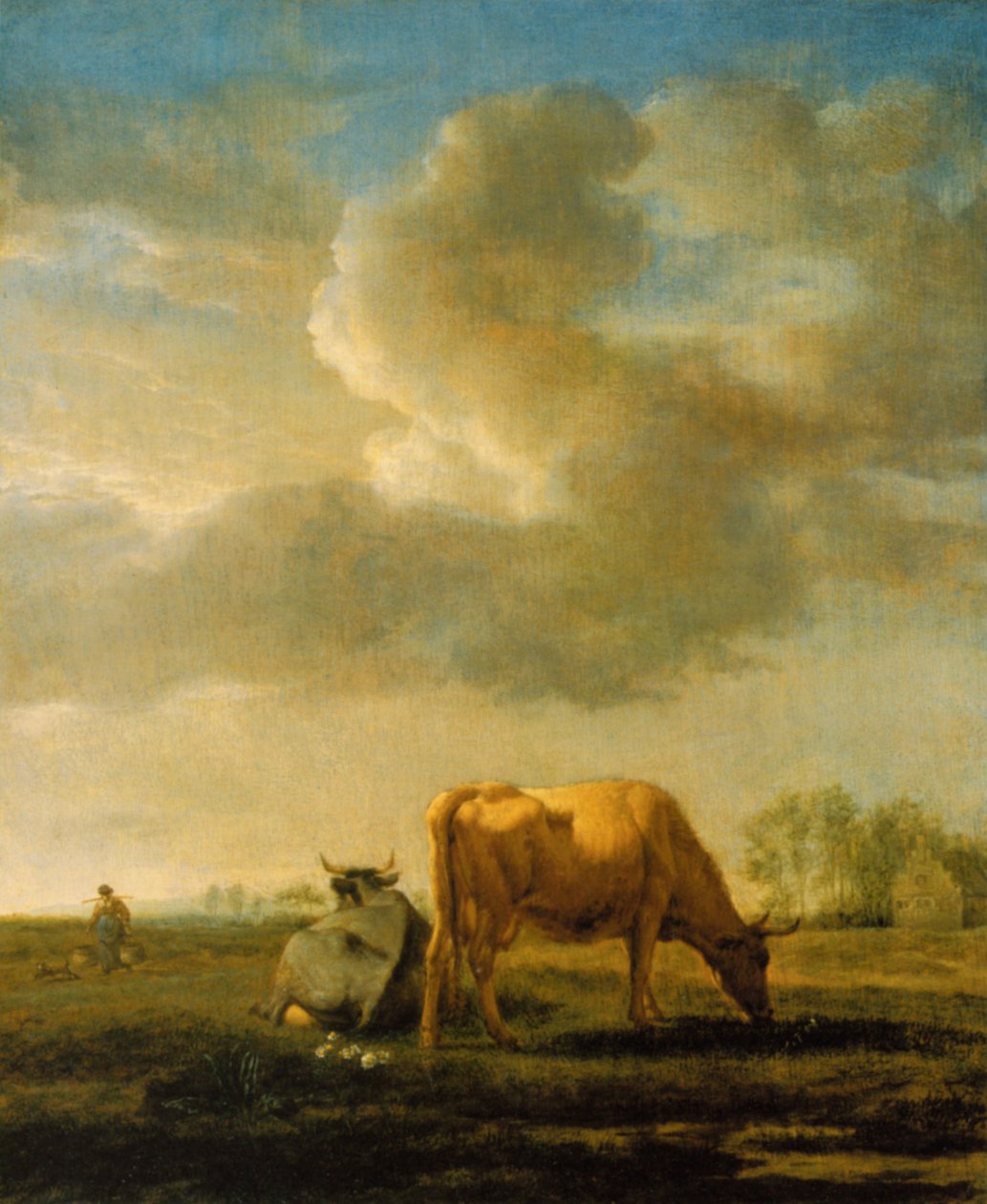 Cows in a Field by Adriaen van de Velde