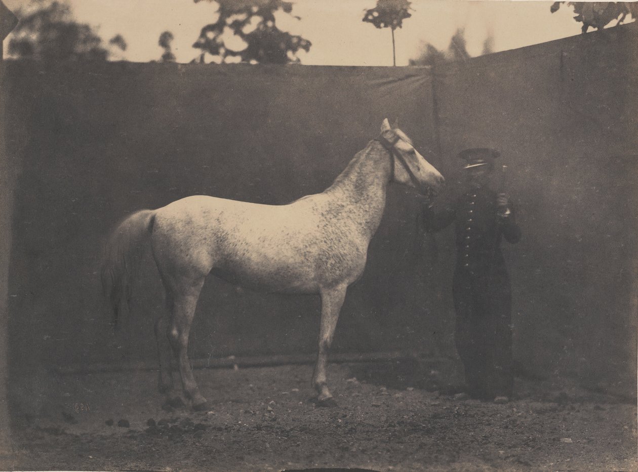 Pascaline by Adrien Alban Tournachon