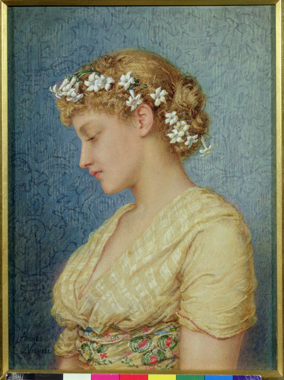 Stephanotis by Agnes Nicholl