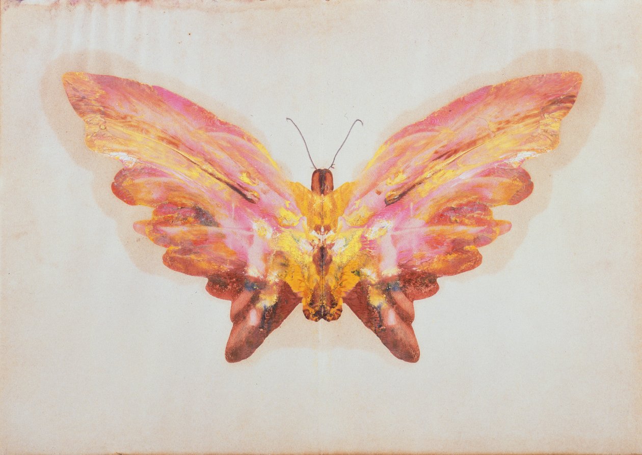 Butterfly by Albert Bierstadt