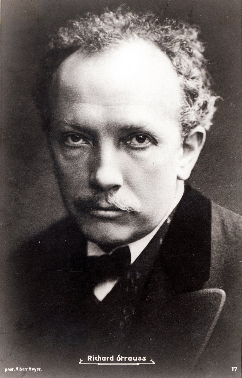Richard Strauss by Albert Meyer