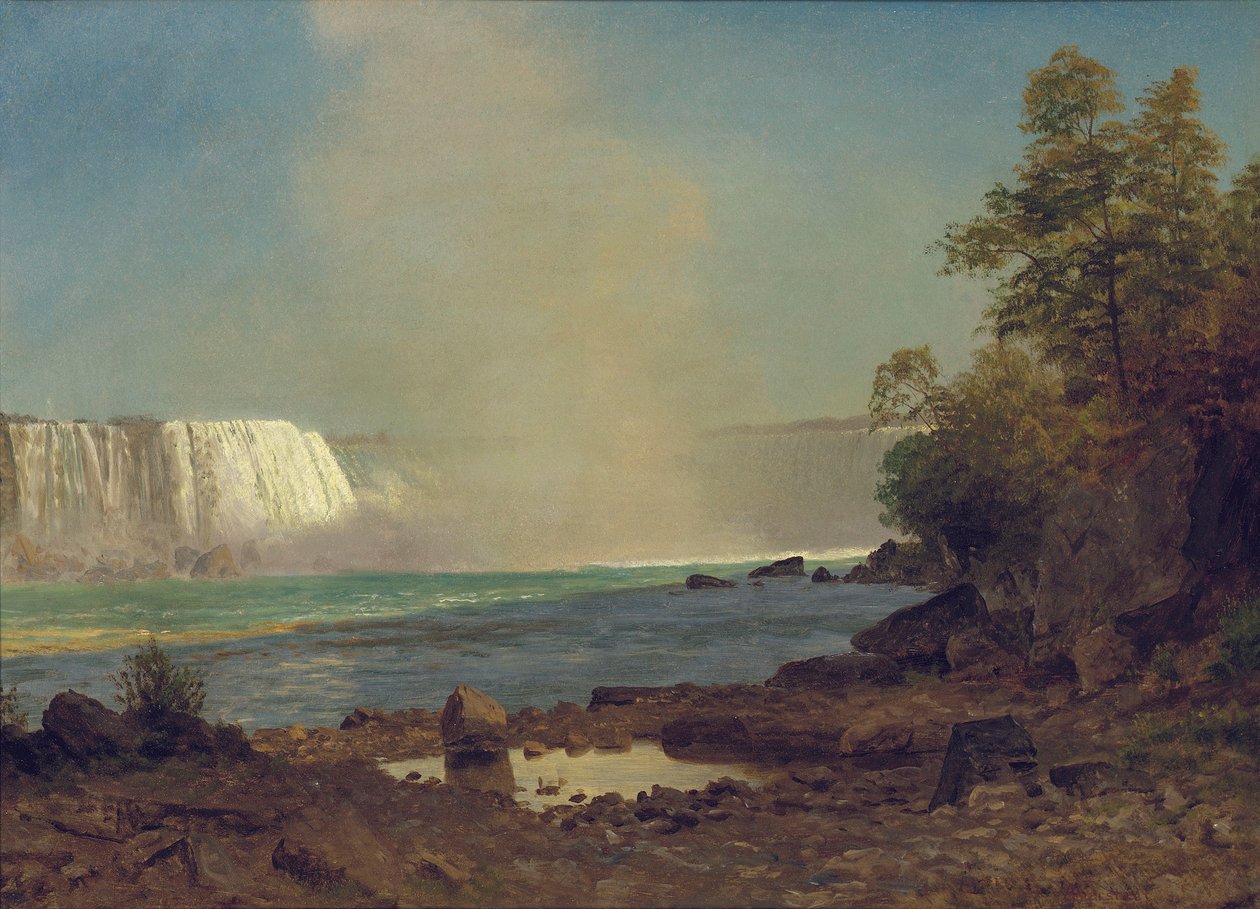 Niagara Falls, 1863 by Albert Bierstadt