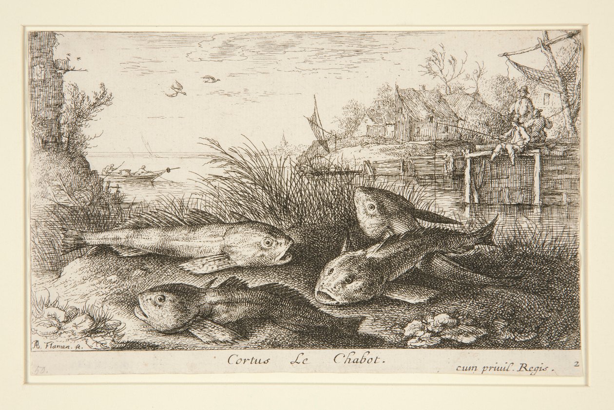 Cortus, The Chabot by Albert Flamen