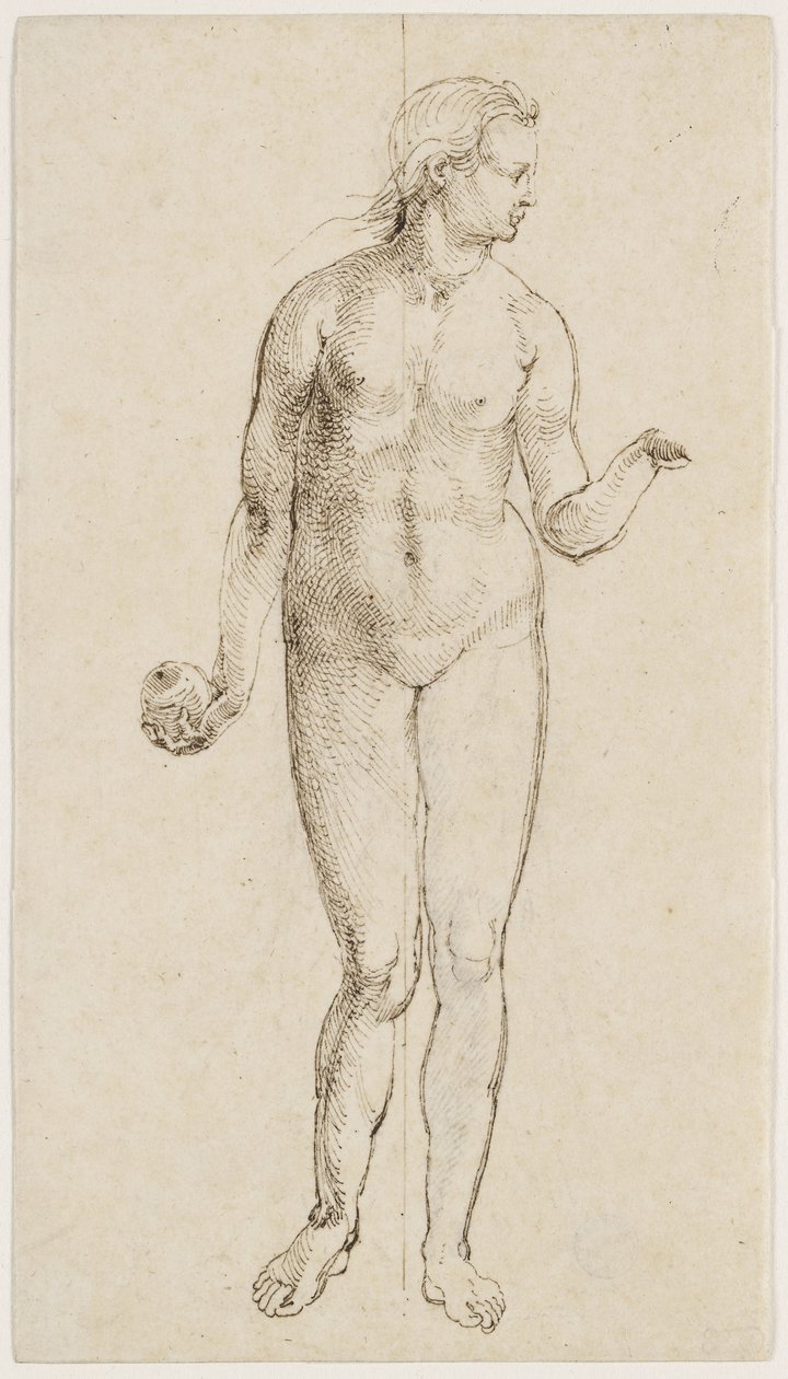 Eve by Albrecht Dürer