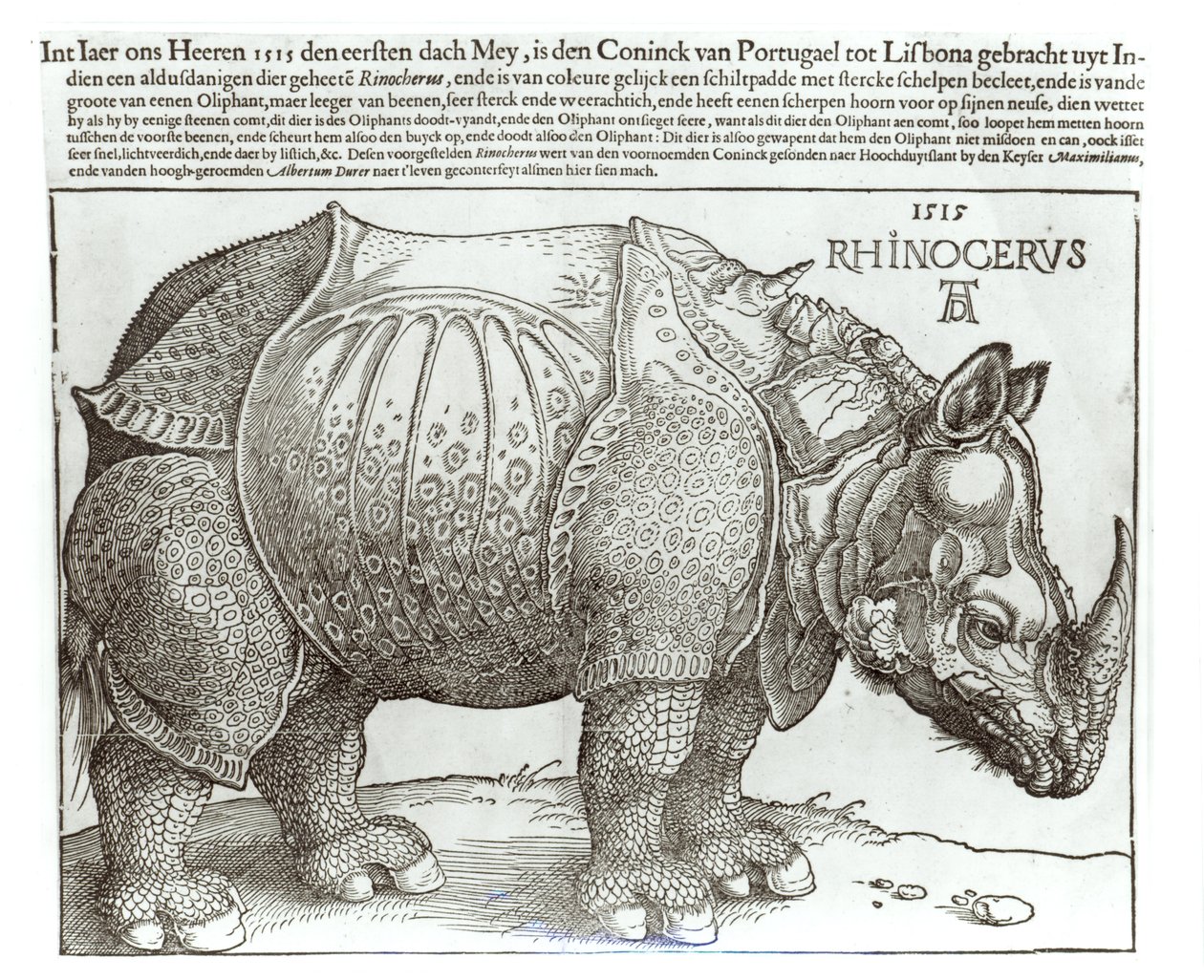Rhinoceros, print given to Maximilian I by the King of Lisbon by Albrecht Dürer