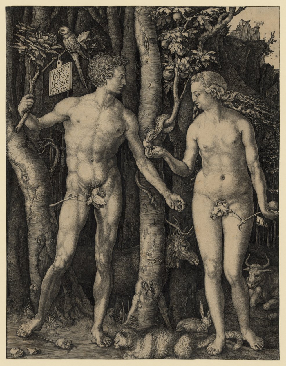 Adam and Eve by Albrecht Dürer