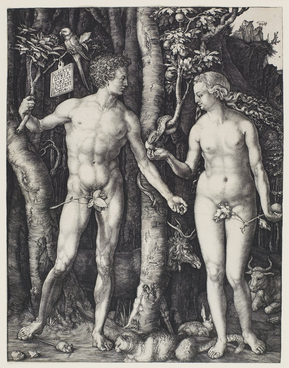Adam and Eve by Albrecht Dürer