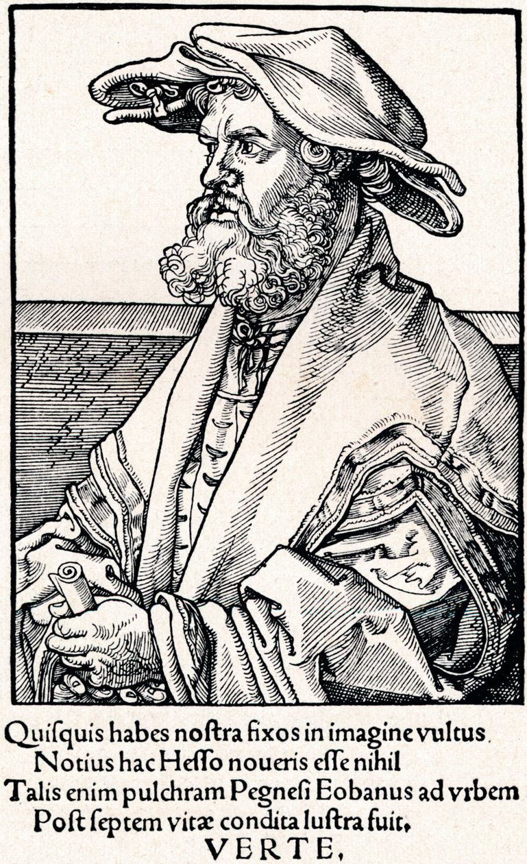 Eobanus Hesse by Albrecht Dürer