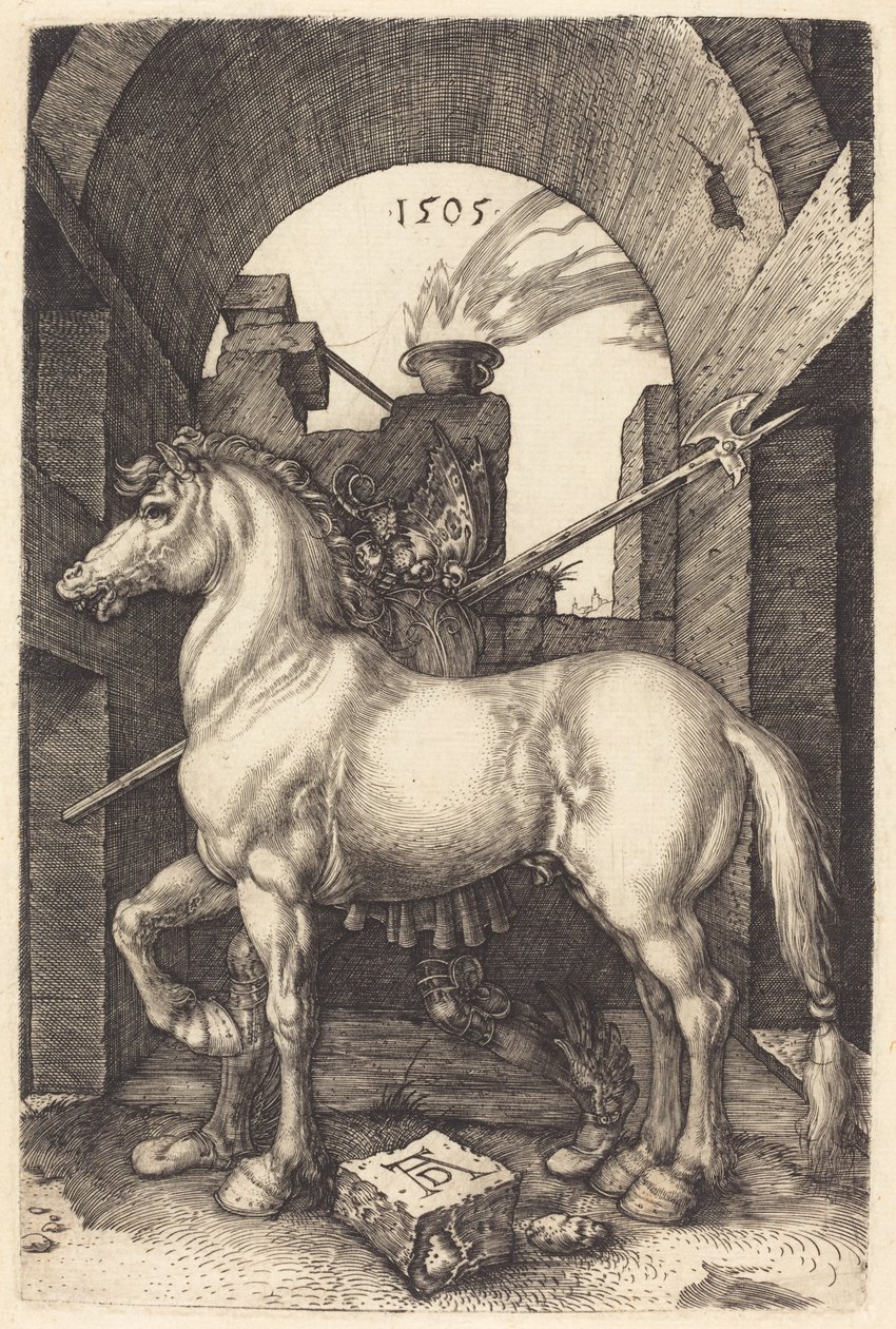 Small Horse by Albrecht Dürer