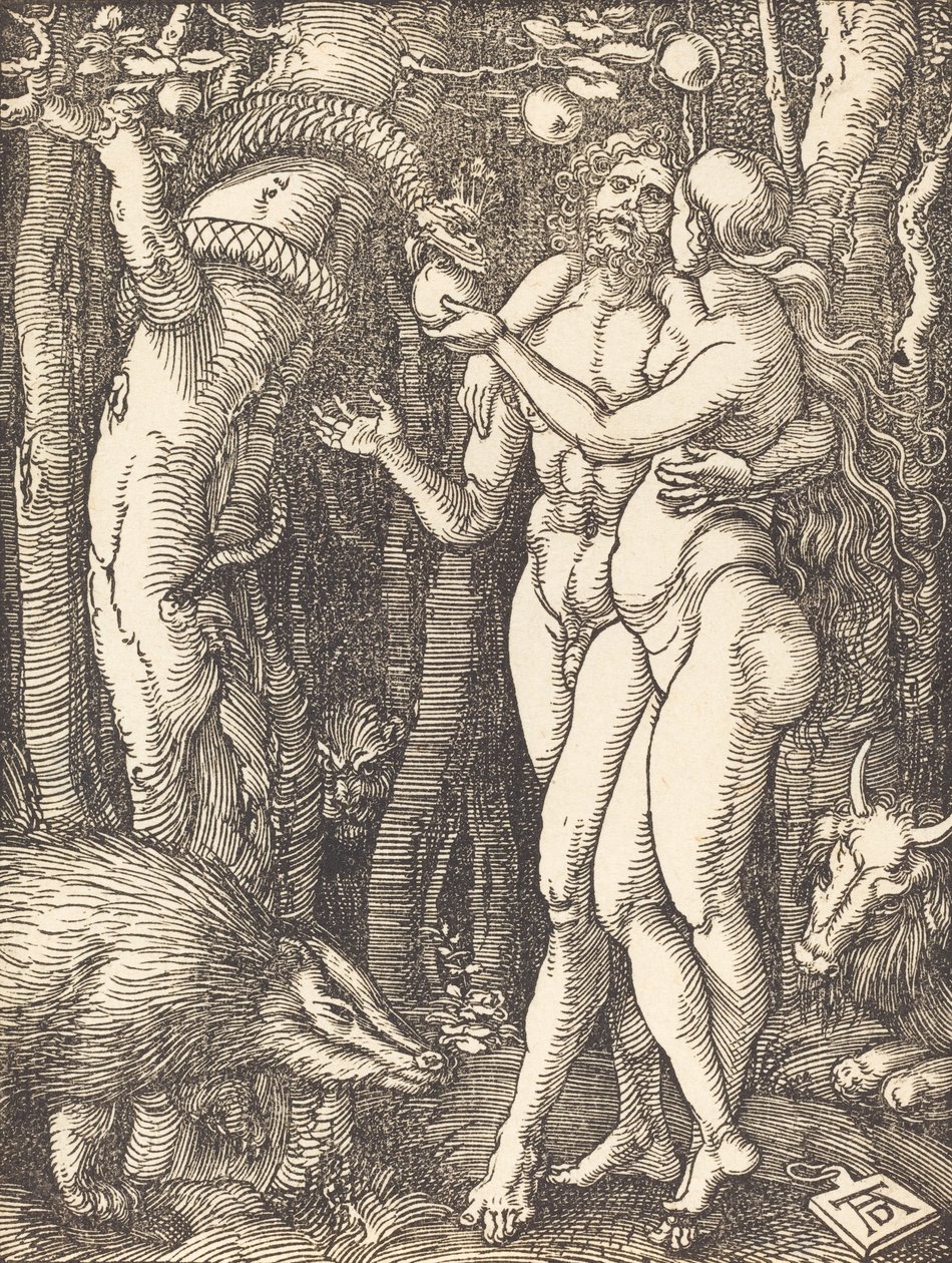 The Fall of Man by Albrecht Dürer