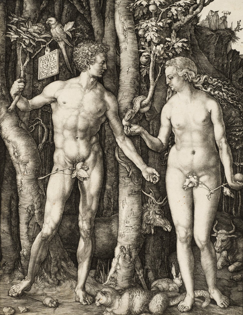 Adam and Eve by Albrecht Dürer