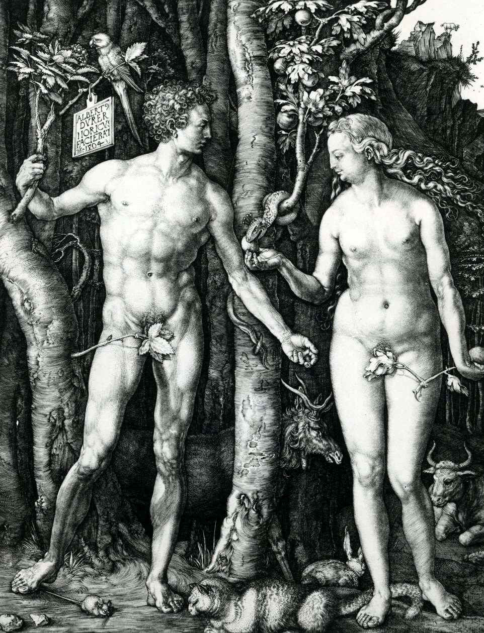 Adam and Eve by Albrecht Dürer
