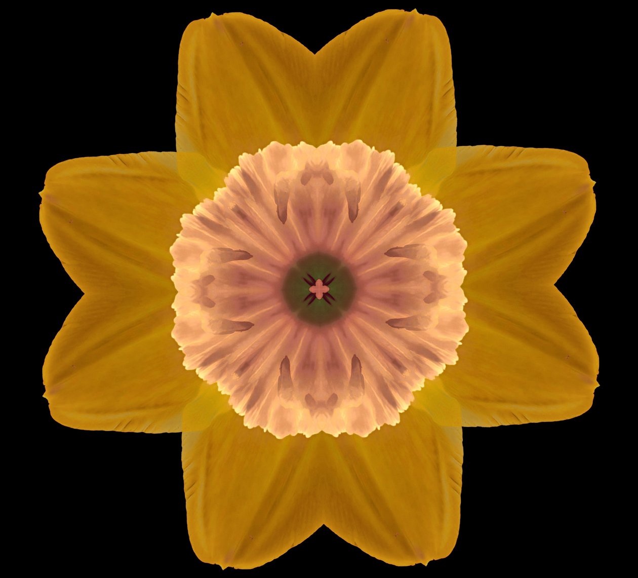 Symmetry by Alex Caminker