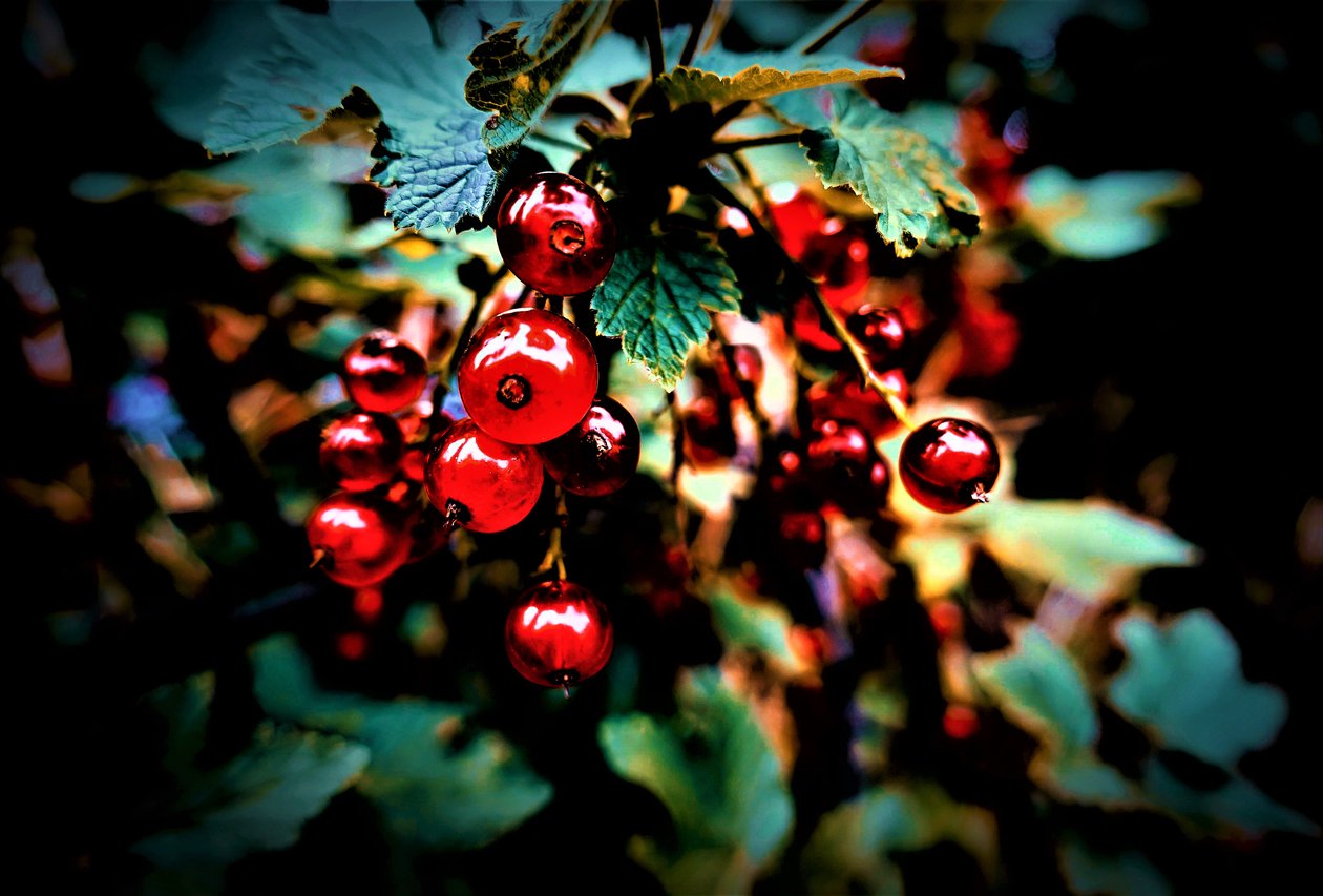 Untitled by Alex Caminker