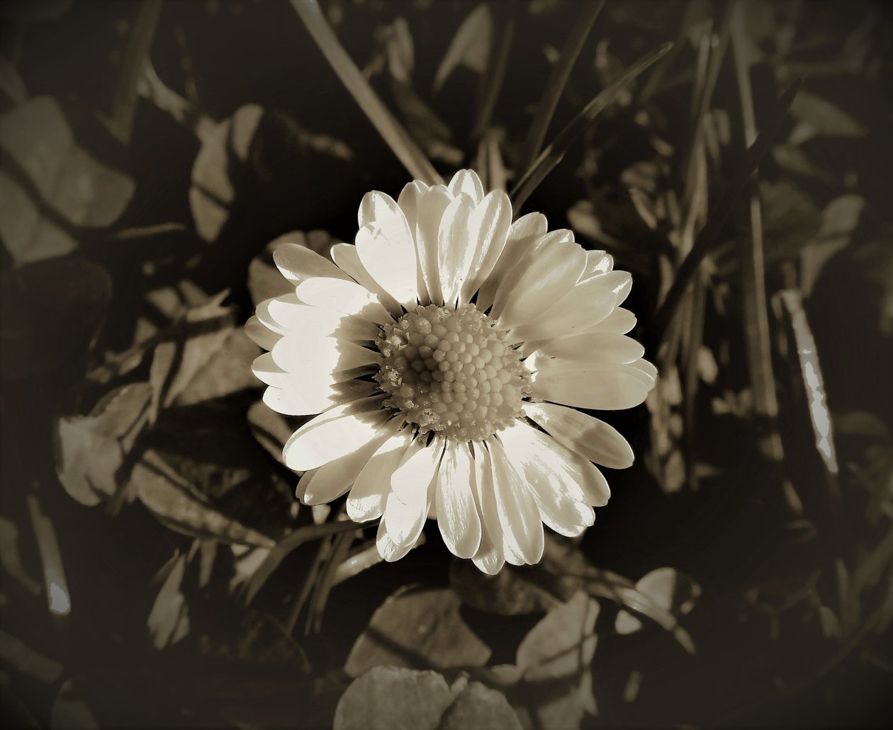 Untitled by Alex Caminker