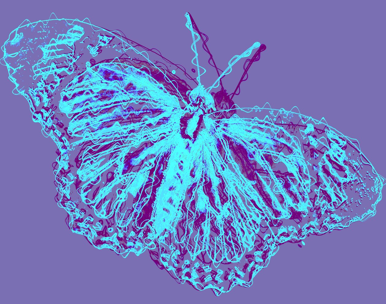 Butterfly by Alex Caminker