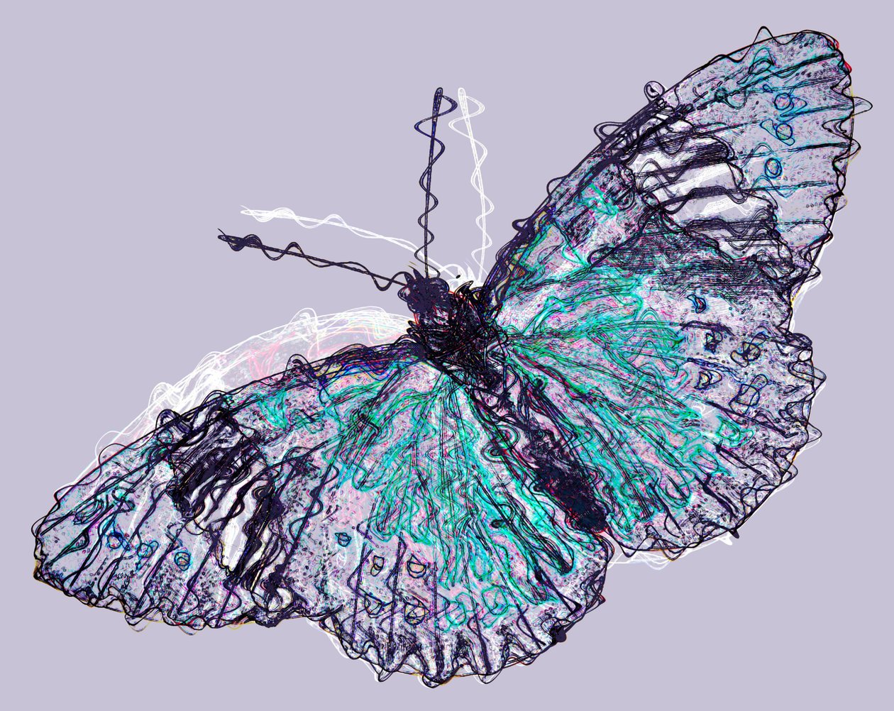 Butterfly 7, 2020 by Alex Caminker