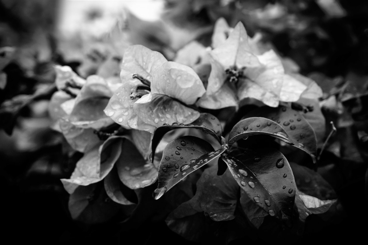 Cluster, 2019 by Alex Caminker