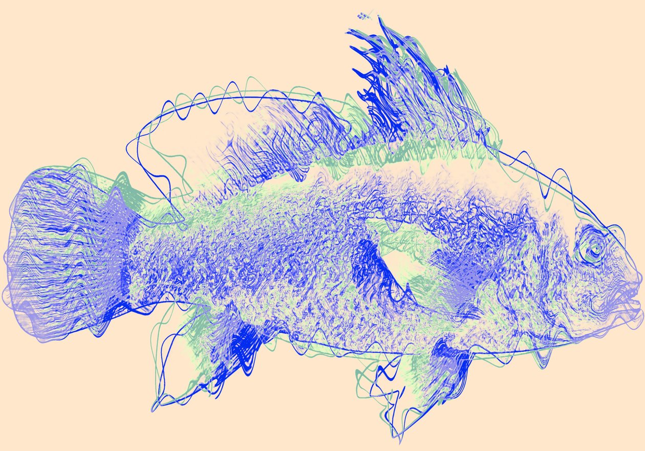 Fish IV by Alex Caminker