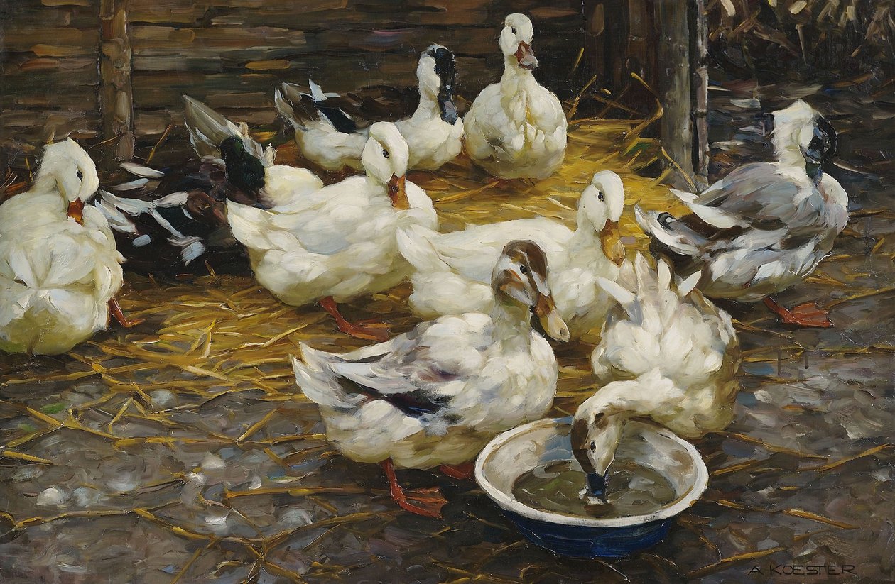 Ducks in Straw by Alexander Koester