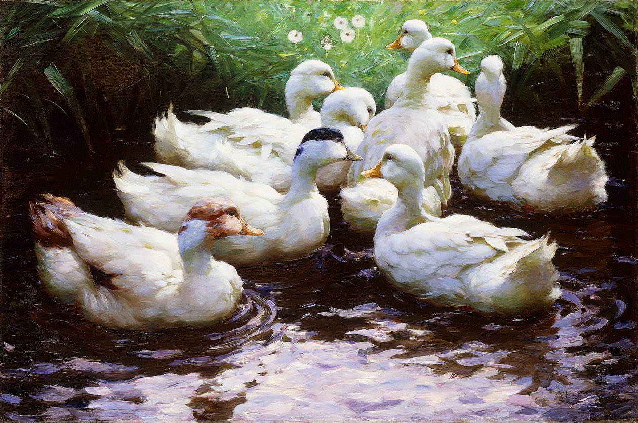 Ashore (Ducks) by Alexander Koester