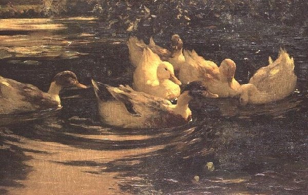 Ducks on a Pond by Alexander Koester