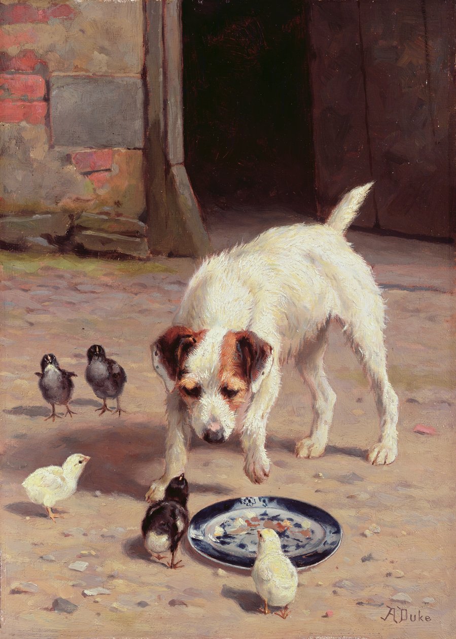 Confrontation by Alfred Duke