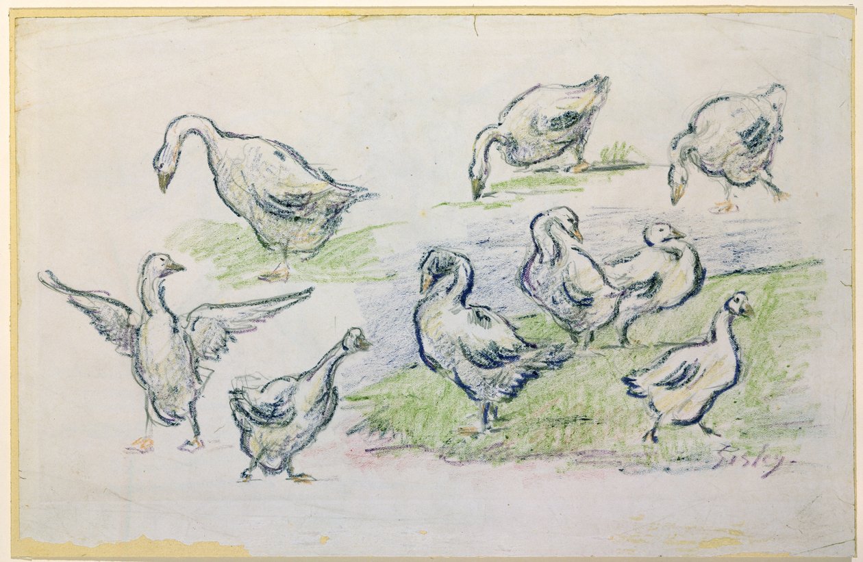 Ducks by Alfred Sisley
