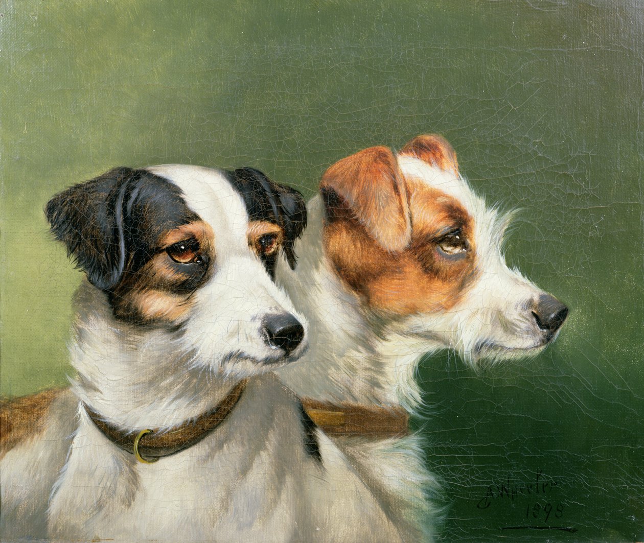 Two Fox Terriers by John Alfred Wheeler