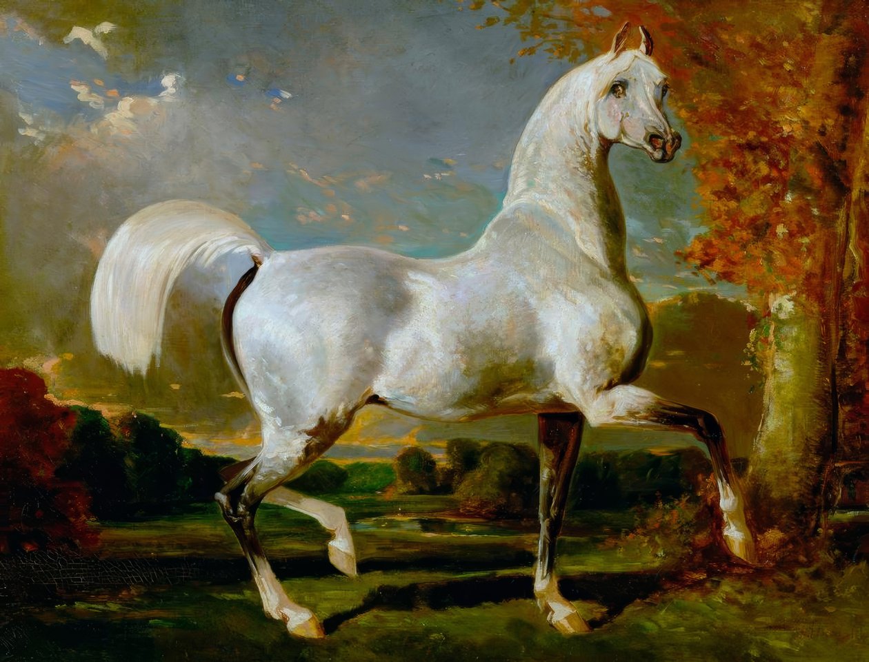 Arab Stallion by Alfred Dedreux