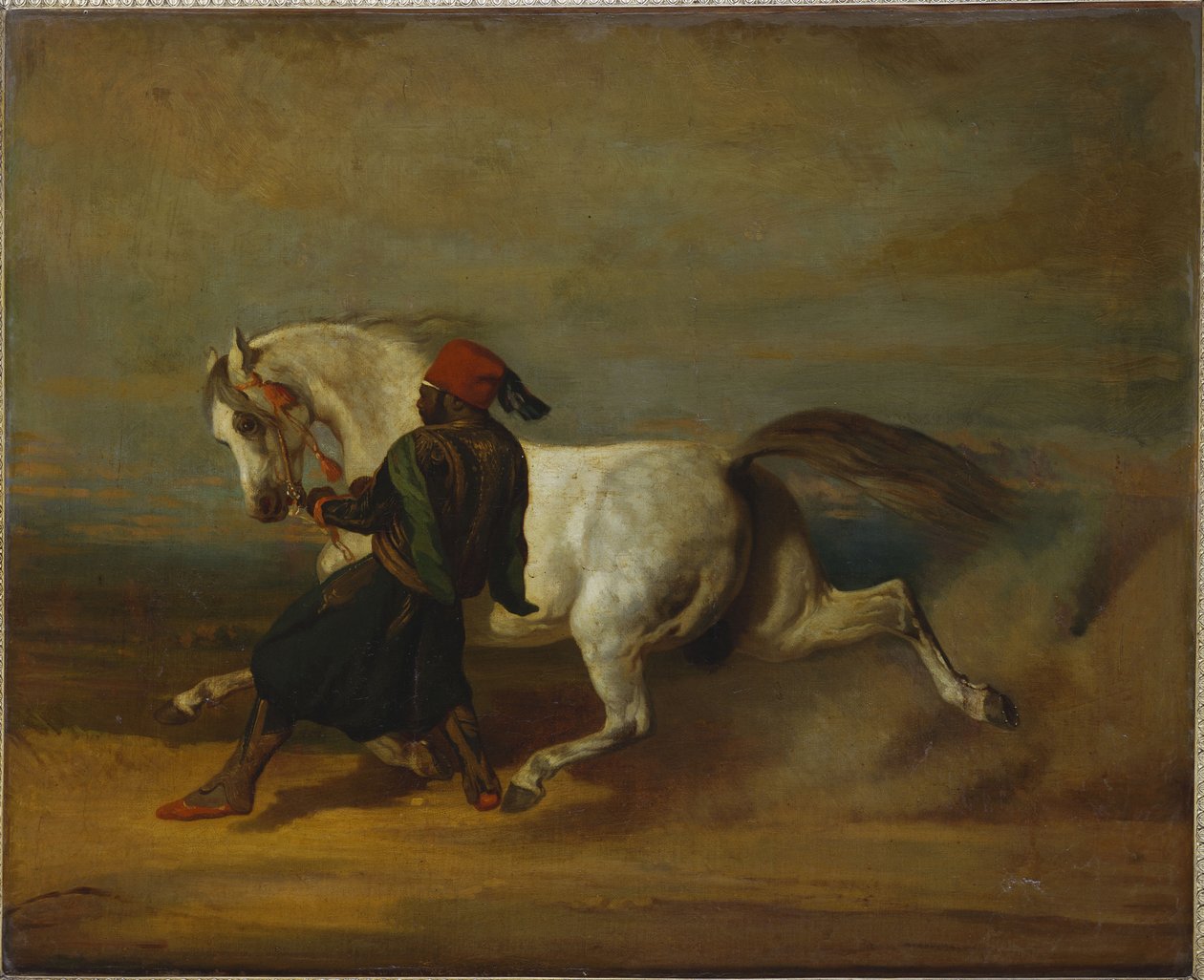 The Pasha