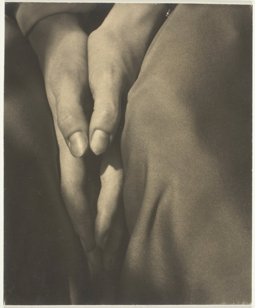 Dorothy Norman by Alfred Stieglitz