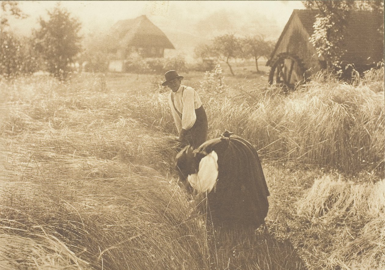 Early Morn, 1894 by Alfred Stieglitz