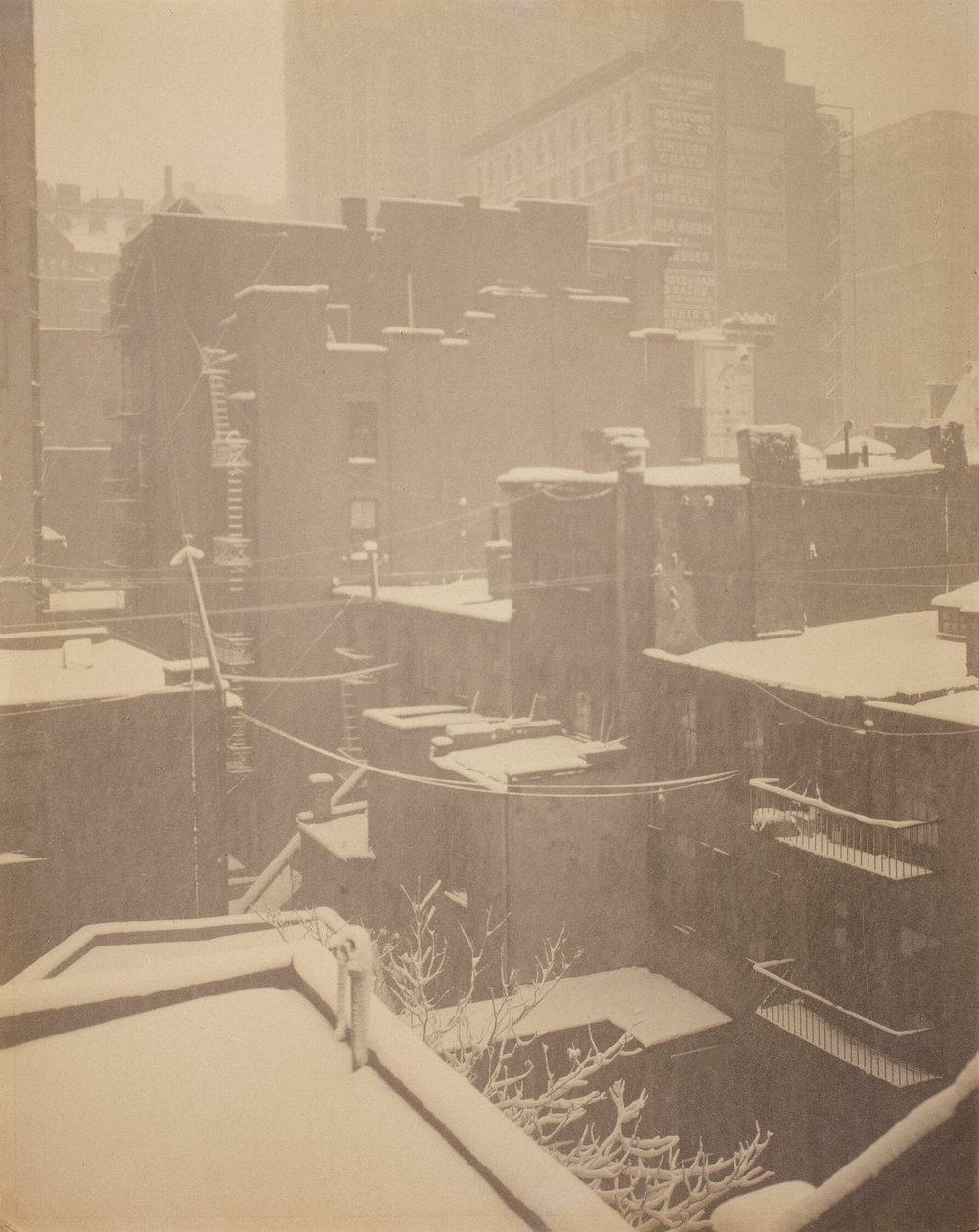 From the Back-Window "291" by Alfred Stieglitz