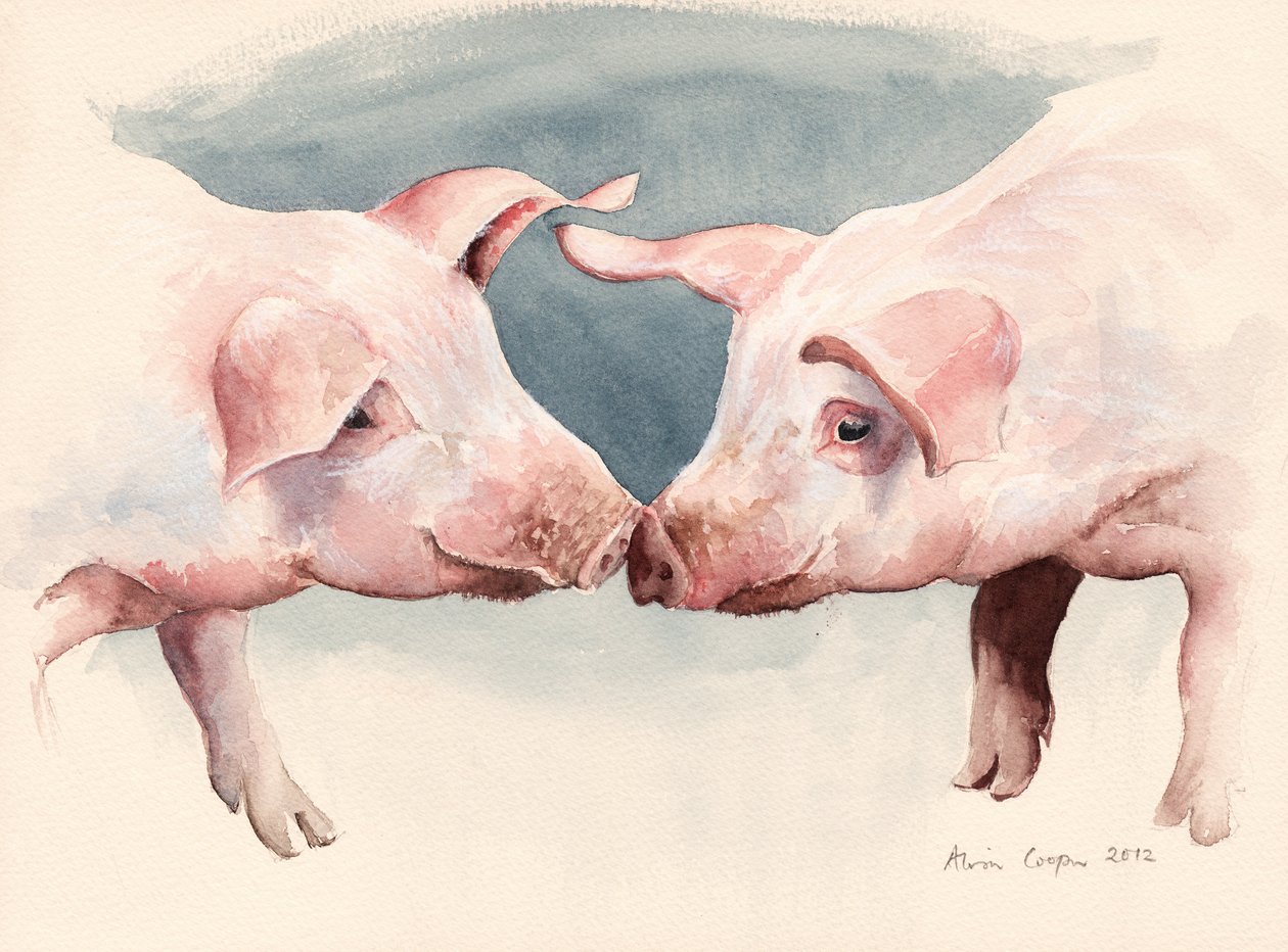 Two Little Piggies by Alison Cooper