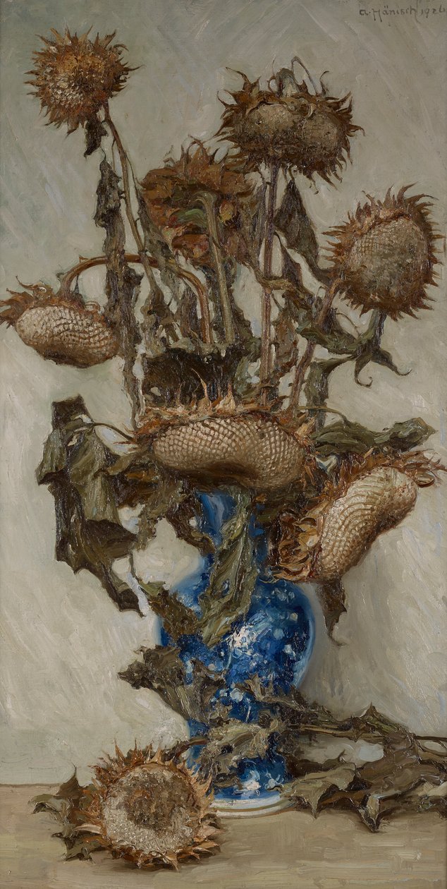 Helianthus by Alois Hänisch