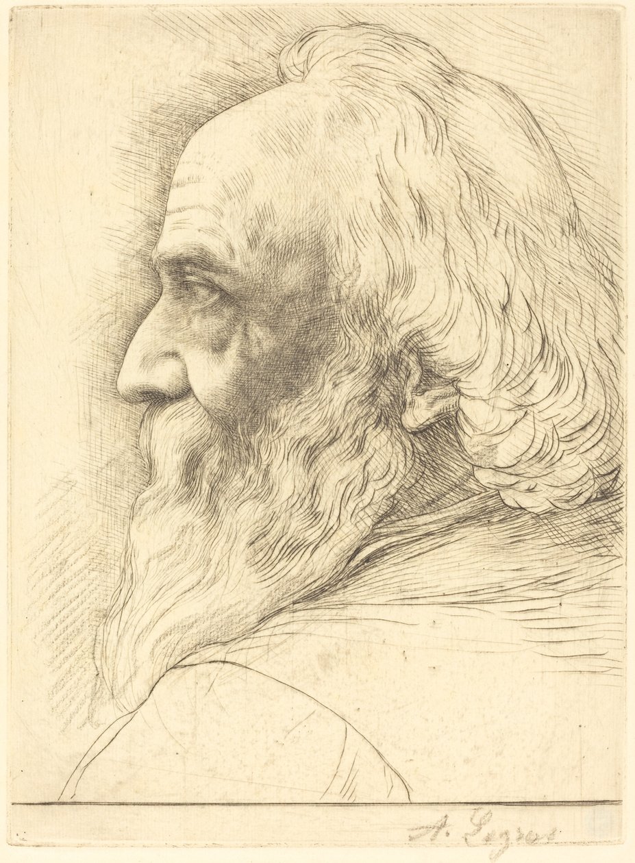 Self-Portrait (12th plate) by Alphonse Legros