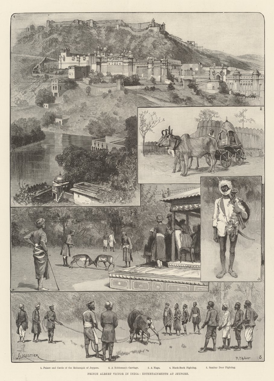 Prince Albert Victor in India, Entertainments at Jeypore by Amedee Forestier